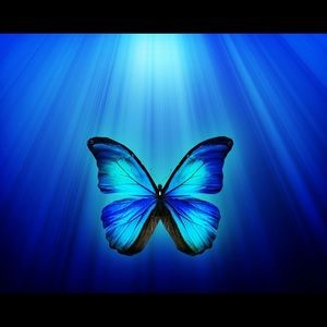 Meet your Posher, Roxanne